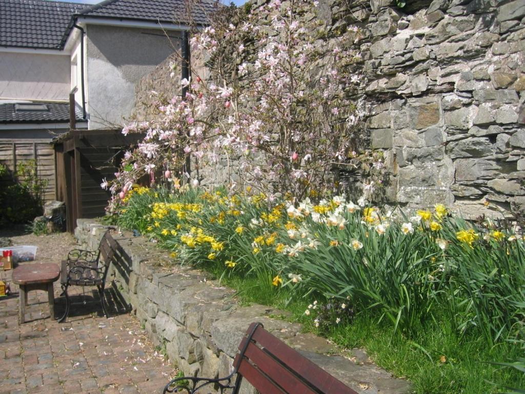 The Horseshoe Guesthouse Rhayader Zewnętrze zdjęcie